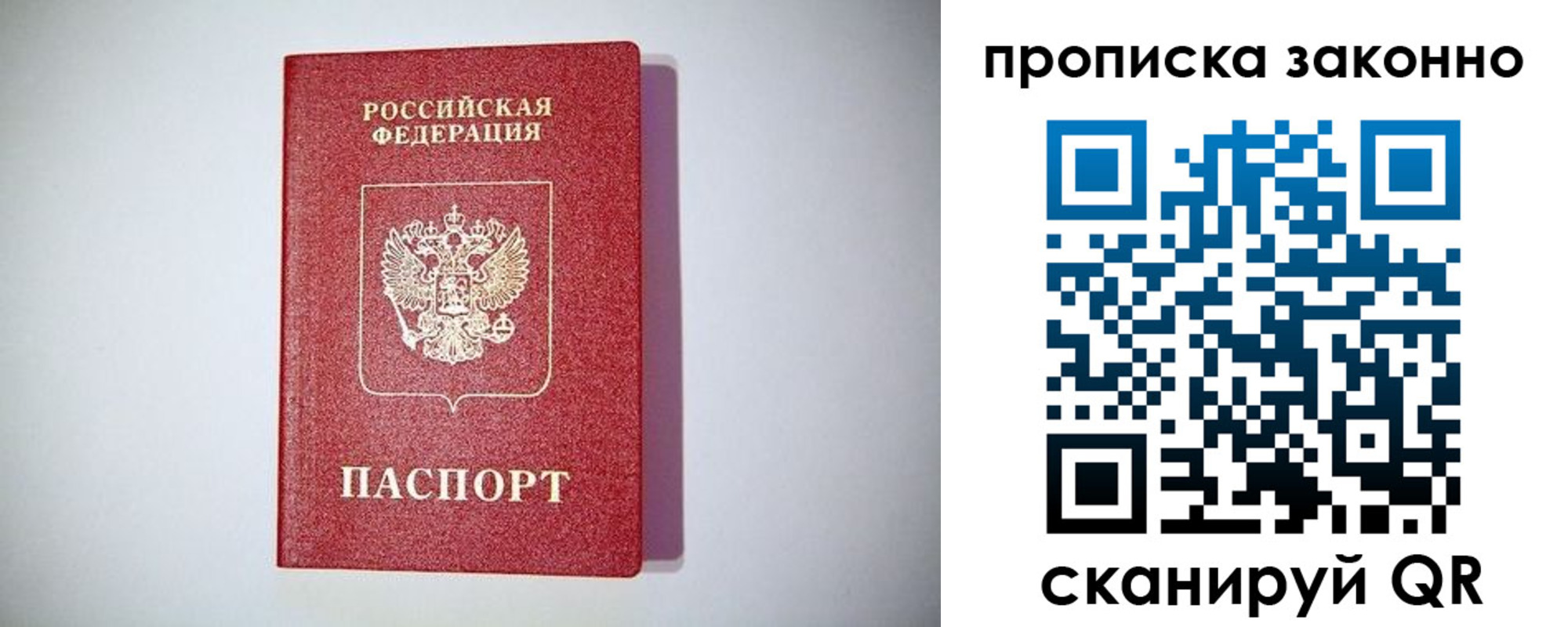 прописка законно в Железногорске